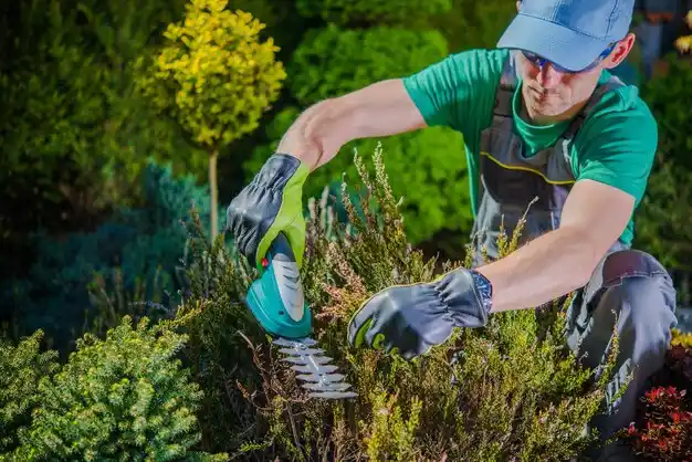 landscaping services Schuyler